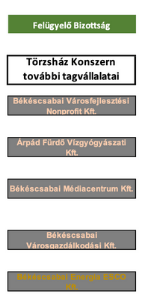 Békéscsaba Vagyonkezelő Zrt.